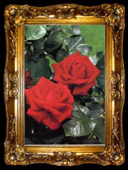 framed  unknow artist Still life floral, all kinds of reality flowers oil painting  133, ta009-2